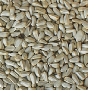 ALAZOR 25 KG  IVA 0   no usar