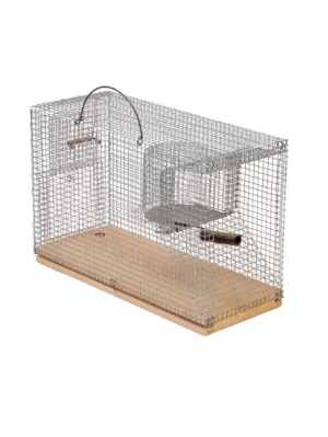 RATERA PERMANENTE GRANDE 43 CM